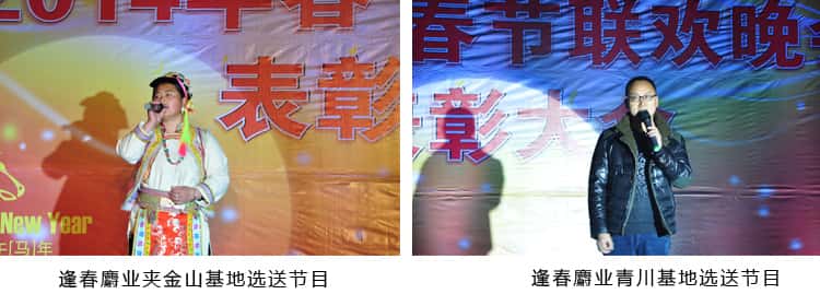恒峰g22-官网入口--天天有惊喜