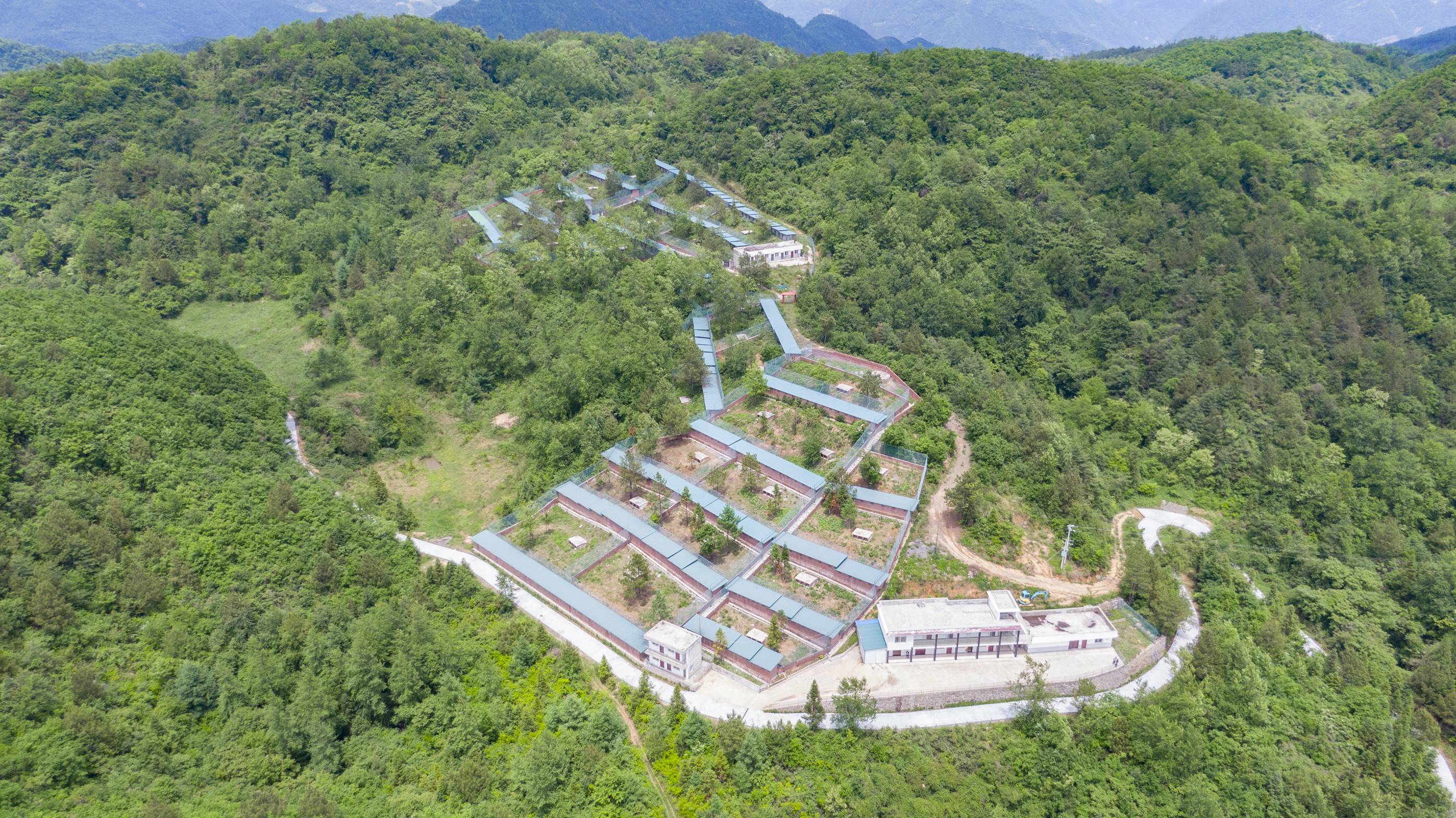 恒峰g22-官网入口--天天有惊喜